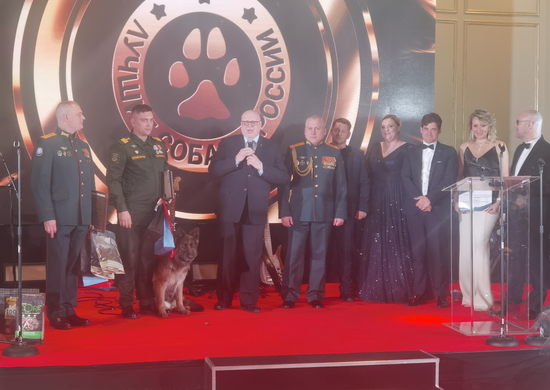 В Москве прошла шестая ежегодная церемония награждения лидеров рейтинга «Лучшие собаки России-2022»
