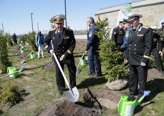 Представители Главного командования ВМФ и ветераны флота посадили деревья в Саду Памяти в Кронштадте