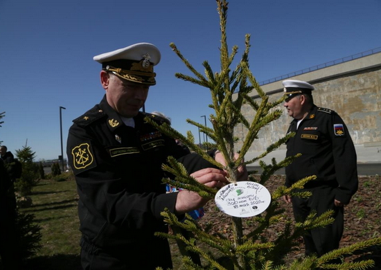 Представители Главного командования ВМФ и ветераны флота посадили деревья в Саду Памяти в Кронштадте