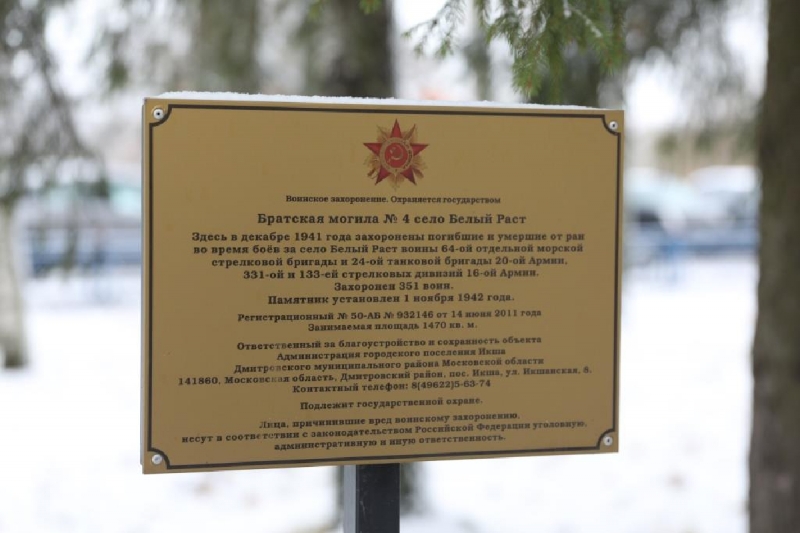 Офицеры ВМФ и юнармейцы высадили деревья на Аллее памяти морских стрелковых бригад, защищавших Москву