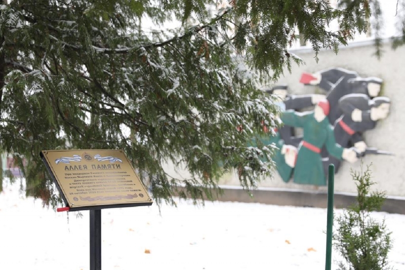 Офицеры ВМФ и юнармейцы высадили деревья на Аллее памяти морских стрелковых бригад, защищавших Москву