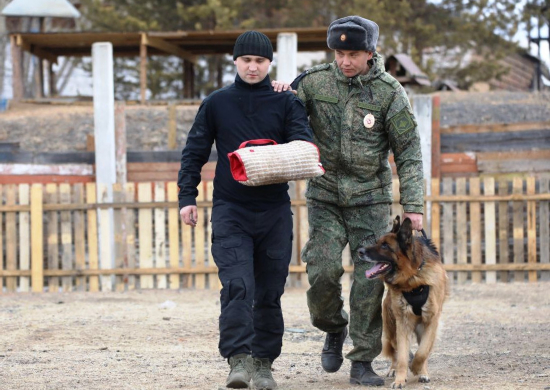 В подразделении военной полиции ВВО в Забайкалье организована подготовка служебных собак